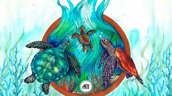 Bir Yüzgeç Hikayesi