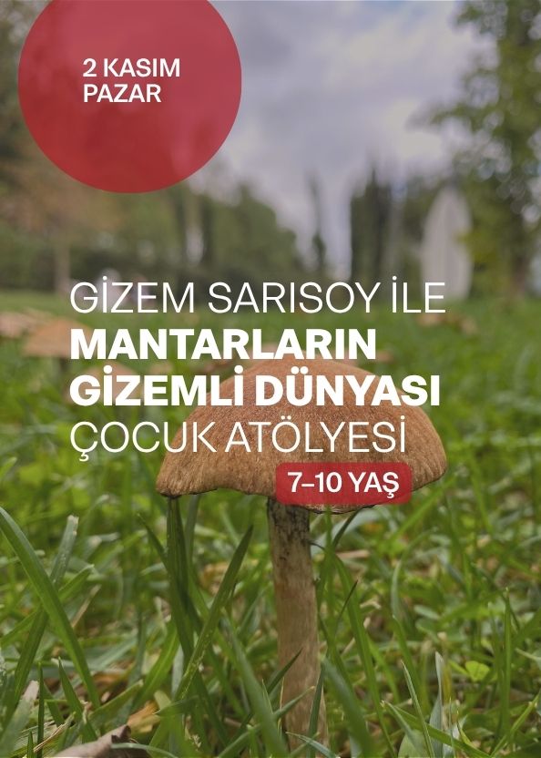 Mantarların Gizemli Dünyası (7–10 yaş)