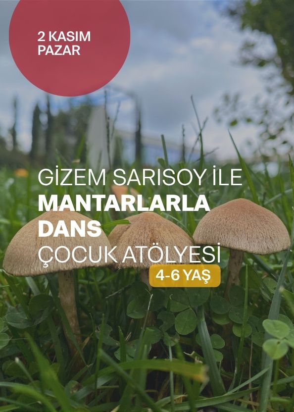 Mantarlarla Dans (4–6 yaş)