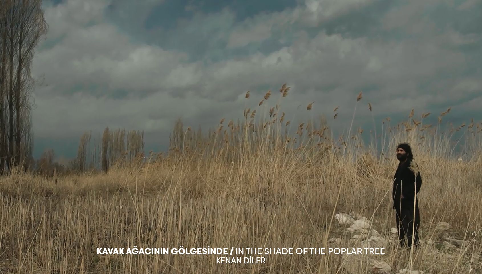 Kavak Ağacının Gölgesinde