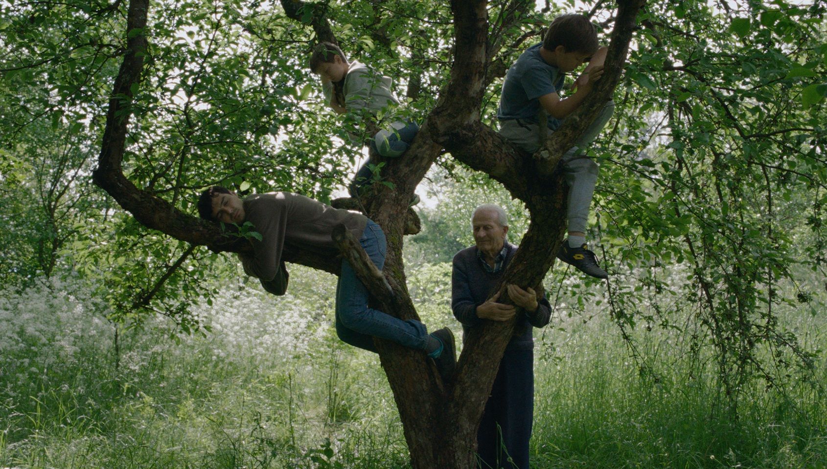 Rüzgar, Konuş Benimle