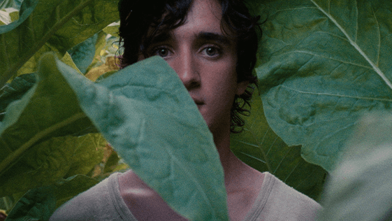 Mutlu Lazzaro (Lazzaro felice)