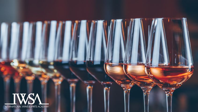 Wset 2.Seviye Wine Yeterlilik Programı