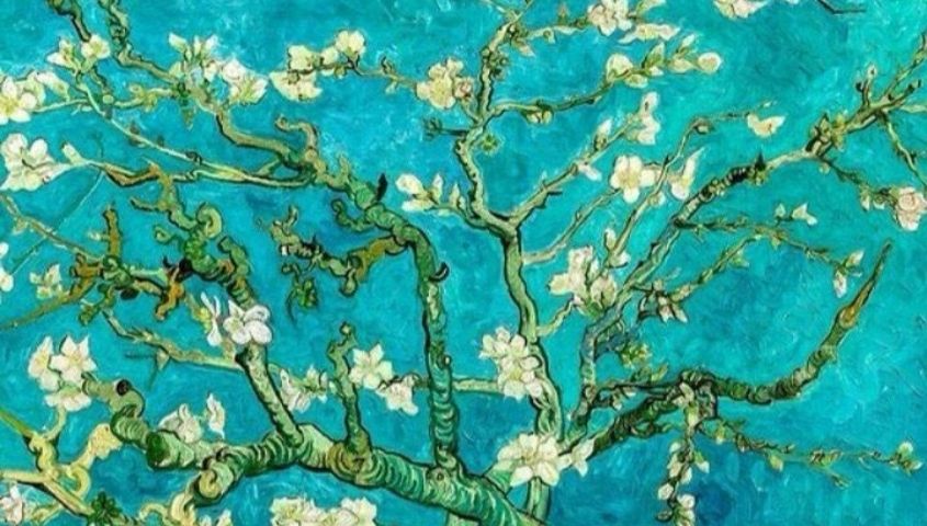 Badem Çiçekleri (Resim Atölyesi)