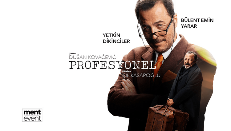 Profesyonel